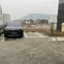 명천로 | 충남 대천 보령 현지인 추천 찐맛 해산물 삼합 고깃집 육향 솔직후기