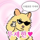 머글와트