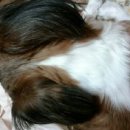 가양3동 이미지