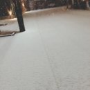 공주-72 이미지