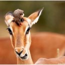 부동산전문 행정사사무소 이미지