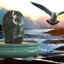 부산갈매기 이미지