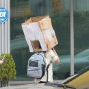 틈 | 6월 :: 첫쨋주 - 작심삼일 타파 겸 틈:틈 이용 후기