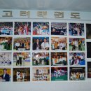 고려체대태권도 이미지