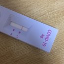그잘난꼼장어 | 251 | 놀고 먹고 일하고... 변주 없는 삶