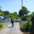 고향의봄길 이미지