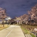 주성초교 병설유치원 이미지