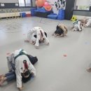 고려라온태권도장 이미지