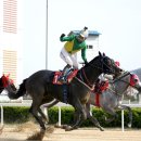 대승축산 이미지