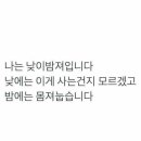 반디장터 이미지