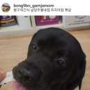 봉구의간식남양주 - 남양주시 별내중앙로 53 | 봉구의간식남양주