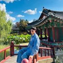 열두달 국내 여행지 추천 & 인생사진 찍기 | 11월 국내여행지 추천 강원도 여행 코스 1박 2일 원주, 평창