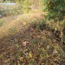 터골농장 이미지