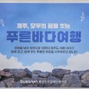 부산진구노인장애인복지관 | 이신내과에서 알려주는 부산진구장애인복지관 제주바다여행 기부
