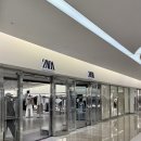 F109 | 자라 봄 신상 추천 생로랑 레더자켓, 반팔, 바지 피팅 후기