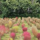 안담농장 이미지