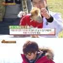 안나목장 이미지