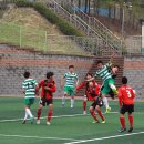 충의중학교 이미지