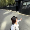대현미용실 | 삼성역 미용실 추천 무이 삼성점 뿌리염색 레이어드 컷 후기