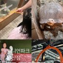 울산 동물원 키즈카페 캐니언파크 울산점 내돈내산