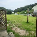 맘앤독스 이미지