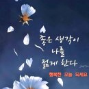 부초 이미지