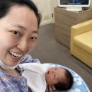 [공지] 둘째 제왕절개수술 입원5일 기록 원주미래산부인과 출산후기