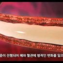 예서 동물병원 이미지