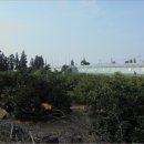 도순동-1 이미지