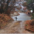 11/30 雨中 대룡산