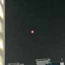 다온노인복지센터 | 경남 양산시 평산동 정원이 예쁜 주간보호센터 다온노인복지센터- 덕계, 평산, 주진, 서창, 백동, 정관...