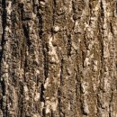 보배어린이공원 이미지