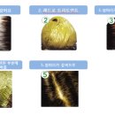 퀸즈헤나전문#