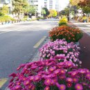 신안주공3차아파트 이미지