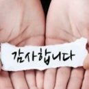 돈오야 이미지