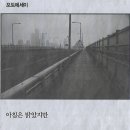 한국노동조합총연맹 이미지