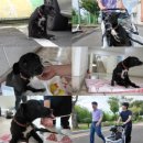 까미농장 이미지