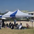 내양초등학교 이미지