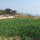 건아태양광발전소 이미지