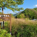 힐링펜션 | 문장대힐링하우스 상주펜션 속리산펜션 후기