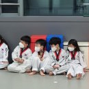 새봄태권도 이미지