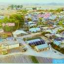 용교농장 이미지