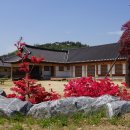위드 코로나 시대, 경북 농촌에서 촌(村)캉스 하세요