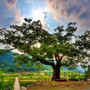 정선초등학교 이미지