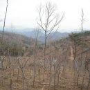 순천시립 공원묘지 이미지