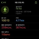 신화드림파크-2 이미지