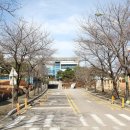 수원역대목민관 송덕비군 | 수원박물관 (1)