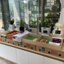 파주청과 이미지