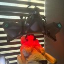 홈플러스서대전점(아이러브펫) | 대전 다이어트 쏙클럽 1회 관리에 체지방 -0.8kg?? (인바디 변화 공개)