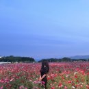 원화랑 스테이 이미지